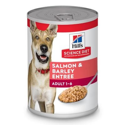 Hill's Science Diet 1-6Yrs Adult Salmon & Barley Entree Canned Dog Food, 13 Oz.