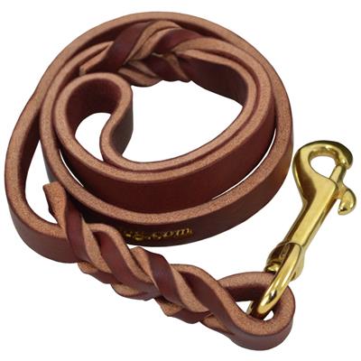 Ray Allen 6' LEATHER LEAD for Training