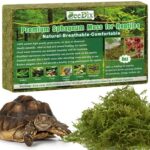 ZeeDix 8OZ Premium Sphagnum Moss for Reptile 12QT Green Natural Live Moss Reptile Moss Bedding for Terrarium Plants Long Fiber Reptile Moss for Leop
