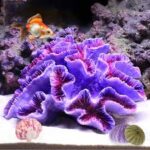 Aquarium Coral Ornaments Decor Fish Tank Plants Decoration