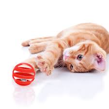 Pet Cat Kitten Play Balls with Jingle Bell Pounce Chase Rattle Toy,Random Color