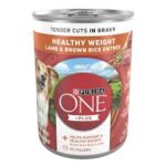 Purina ONE SmartBlend Tender Cuts In Gravy Wet Dog Food Healthy Weight Lamb & Brown Rice Entrée - 13oz