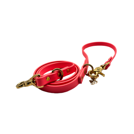 Classic Leash 5/8" 4Ft