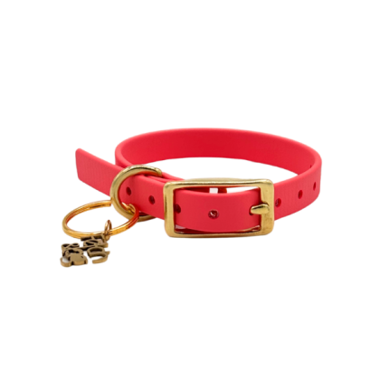 Traditional Buckle Collar XS 1/2"