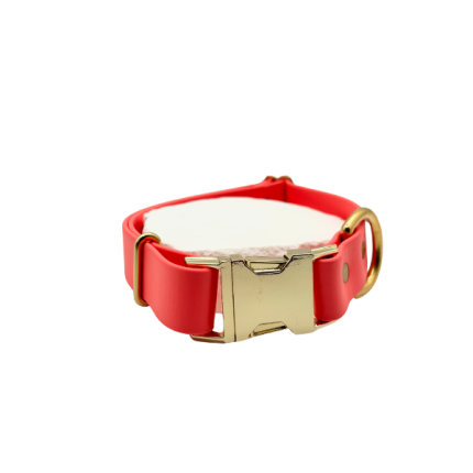 Quick Realease Collar 3/4 Small