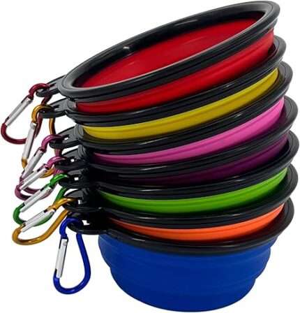 Collapsible Pet Bowl