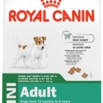 Royal Canin Size Health Nutrition Small Breed Adult Dry Dog Food - 14 Lb Bag