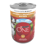Purina ONE High Protein Chicken & Brown Rice in Gravy Wet Dog Food  13 oz Can