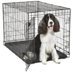 Midwest Single Door Dog Crate 36 Inch