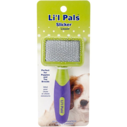 Lil Pals Tiny Slicker Brush for Small Dogs and Puppies