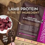 Wholesomes Whole Grain Adult Dog Food - Lamb & Potato - 35 Lbs - Image 2