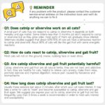 Potaroma Catnip Toys Balls 4 Pcs, Extra Cat Energy Ball - Image 6