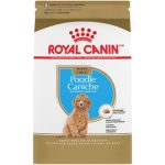Royal Canin Breed Health Nutrition Poodle Puppy Dry Dog Food - 2.5 Lb Bag