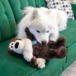 KONG Wild Knots Jumbo Bear Dog Toy - Image 3