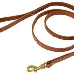 Ray Allen Tan HARNESS LEATHER LEASH (3/4")