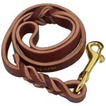 Ray Allen 6' LEATHER LEAD for Training