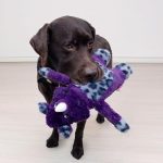 Kong Jungle Jamz Rhino Dog Toy Medium / Large Assorted Colors - Image 2