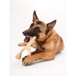 BetterBone Perfect for medium to strong chewers! All natural, renewable, hypoallergenic - Image 2