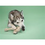 BetterBone Perfect for medium to strong chewers! All natural, renewable, hypoallergenic - Image 3