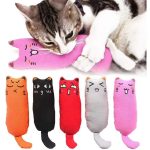 Catnip Toy