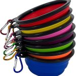 Collapsible Pet Bowl
