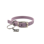 Traditional Buckle Collar XS 1/2" - Image 6