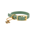 Traditional Buckle Collar XS 1/2" - Image 11