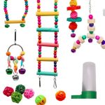 Birdcage Toy