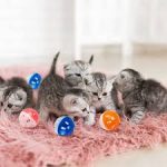 Pet Cat Kitten Play Balls with Jingle Bell Pounce Chase Rattle Toy,Random Color - Image 3