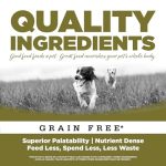 NutriSource Grain Free Small Breed Bites Chicken & Pea Recipe Dry Dog Food - 12 Lb Bag - Image 4