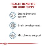 Royal Canin Small Puppy Dry Dog Food - 14 Lb Bag - Image 6