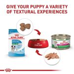Royal Canin Small Puppy Dry Dog Food - 14 Lb Bag - Image 8