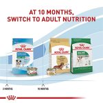 Royal Canin Small Puppy Dry Dog Food - 14 Lb Bag - Image 9