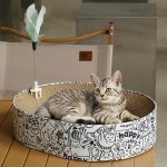 Cat Scratcher training Toy