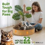 BOWHAUS Cat Scratch Bed - Image 2