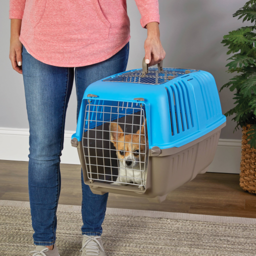 unnamed-2.png MidWest Homes For Pets Spree Hard-Sided Pet Carrier 24-Inch Spree Blue 2-Door Top Load - Image 1