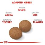 Royal Canin Size Health Nutrition Large Breed Adult Dry Dog Food - 30 Lb Bag - Image 4
