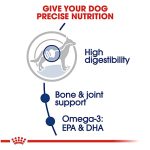 Royal Canin Size Health Nutrition Large Breed Adult Dry Dog Food - 30 Lb Bag - Image 5