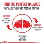 Royal Canin Size Health Nutrition Large Breed Adult Dry Dog Food - 30 Lb Bag - Image 7