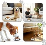 Stainless Steel Dog Bowl Pet Feeding Bowl with Rubber Base Non-Slip