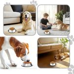 Stainless Steel Dog Bowl Pet Feeding Bowl with Rubber Base Non-Slip
